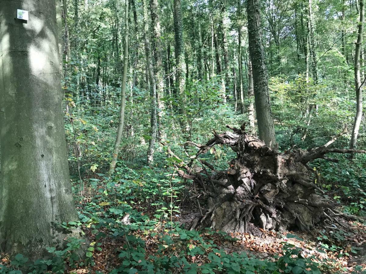 Vakantiewoning Leberg Brakel Luaran gambar